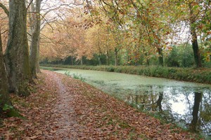 canal d'orlans